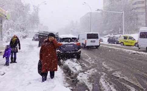 下雪了作文（必备15篇）