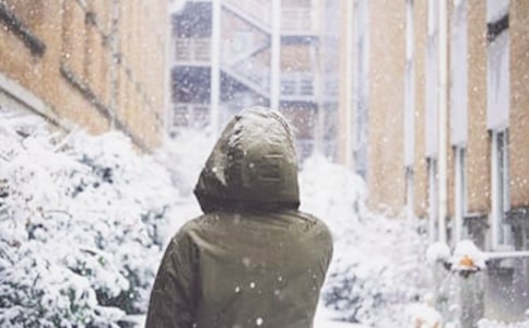 下雪了作文15篇[通用]
