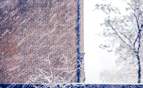 下雪了作文15篇（精华）