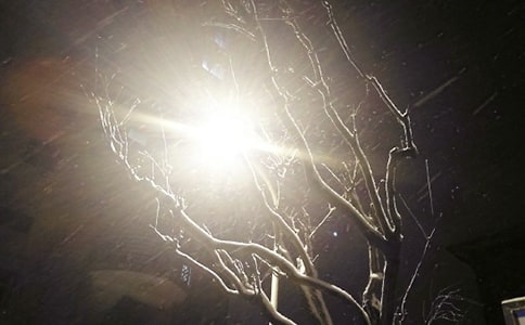 下雪了看图写话15篇[集合]