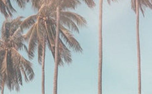 夏季鼻炎过敏怎么办呢