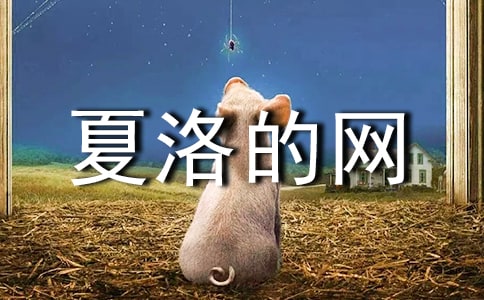 夏洛的网读后感400