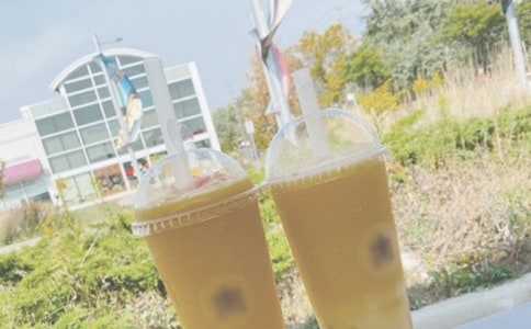 (集合)夏日荷塘作文