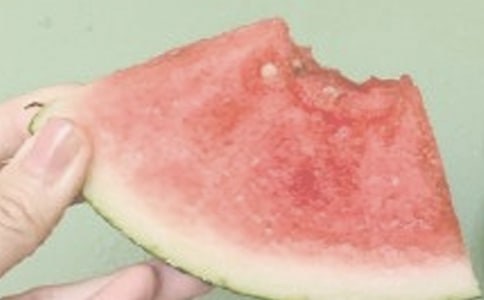 夏日随笔美文
