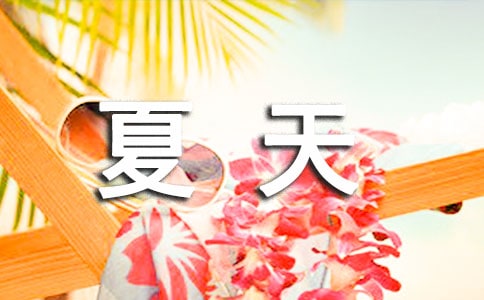 夏天喝什么茶好