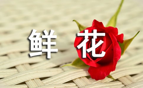 一路撒下鲜花