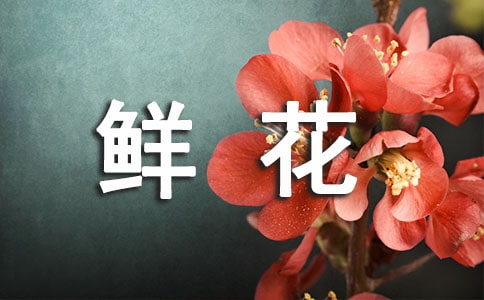 一朵鲜花作文合集11篇