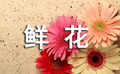 一朵鲜花作文