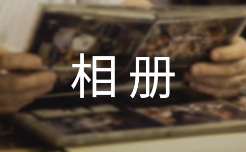 相册_800字
