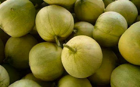 今天吃香瓜一年级作文