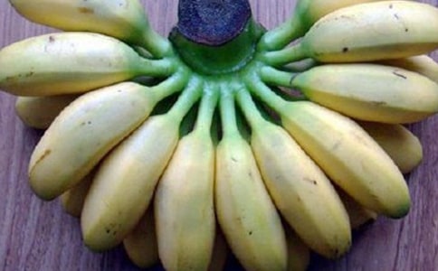 乱扔香蕉皮看图写话(必备)