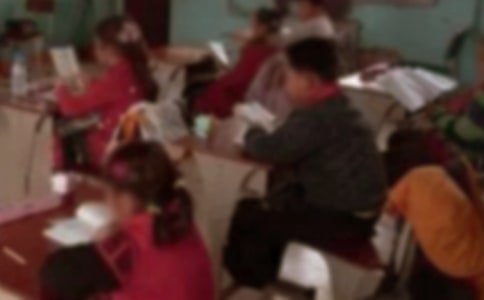感受乡村小学生作文500字