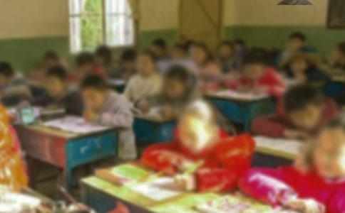 美丽乡村小学作文集锦15篇