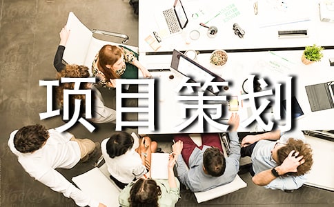 软件项目策划书范文