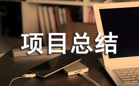 主题团日活动项目总结(通用6篇)