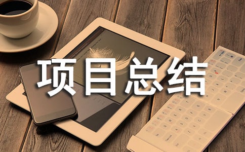 信息技术2.0项目总结（精选10篇）