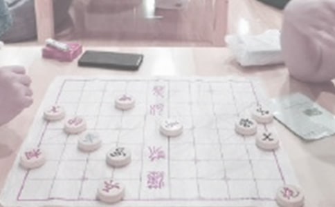 世界最大的象棋