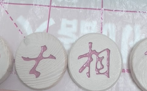象棋大战小学作文