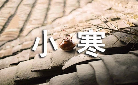 小寒养生喝什么茶