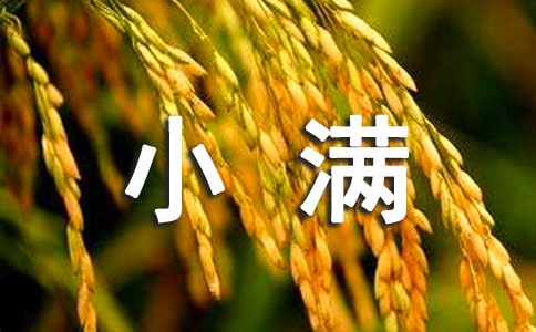 小满吃什么传统食物