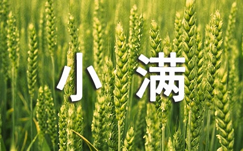小满习俗吃什么