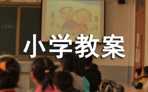 小学教案检查总结