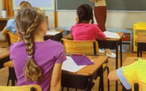 小学生暑期社会实践活动范文