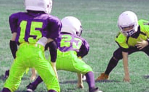 有关小学生建议书作文四篇