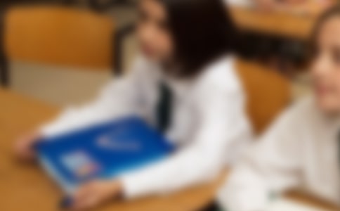 【精品】我是小学生作文300字三篇