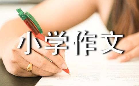 人间处处有真情小学作文