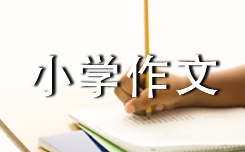 【热】学炒菜小学作文