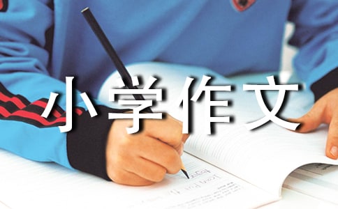 【荐】陪伴小学作文