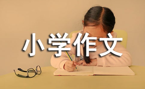 胆小的我小学作文300字