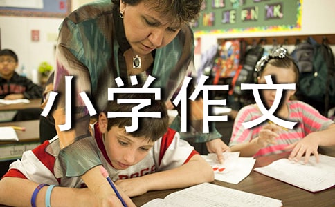 我爱过年小学作文4篇