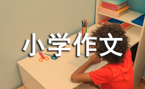 学旱冰小学作文6篇
