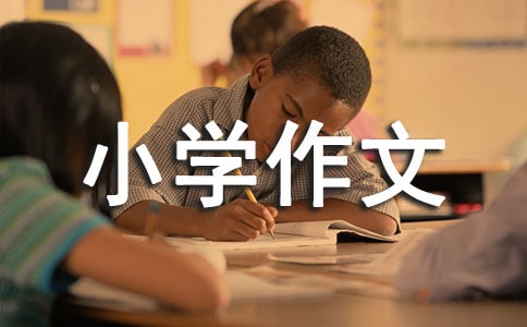 一件好玩的事小学作文