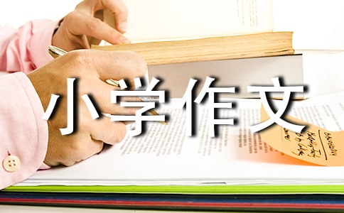 小学作文评语怎么写及优秀案例集锦