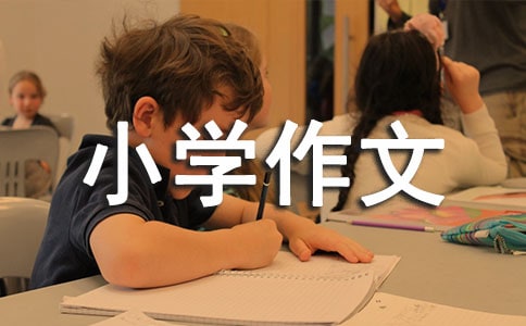 小学作文批语词语