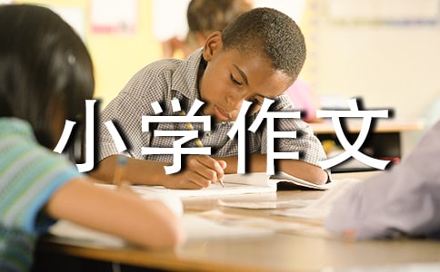 有趣的寒假小学作文