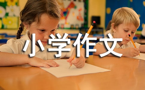 我身边的小能手小学作文