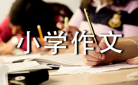美丽的小学作文