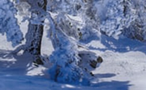 教你小雪过后如何来养生