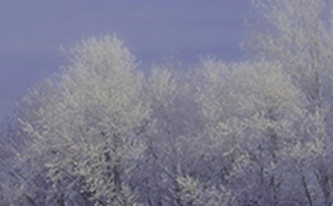小雪节气问候短信