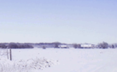 小雪如何养生