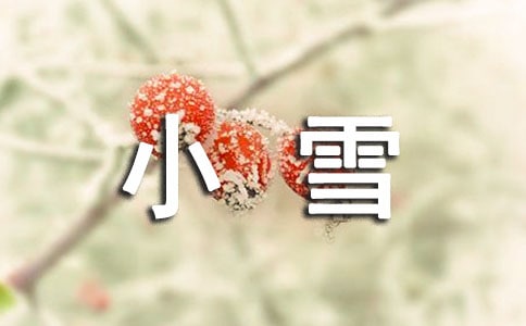 暖心小雪祝福语15篇