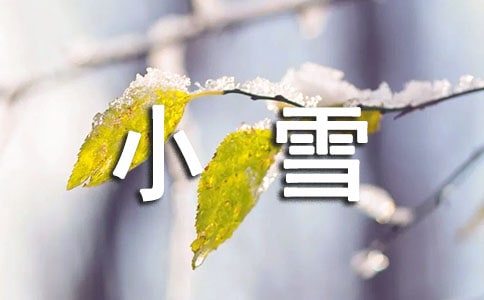 小雪的介绍