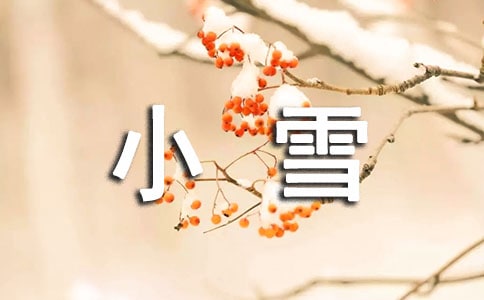 一缕幽香小雪来的随笔