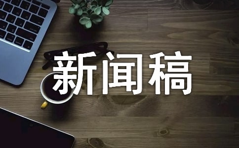 新闻稿的作文