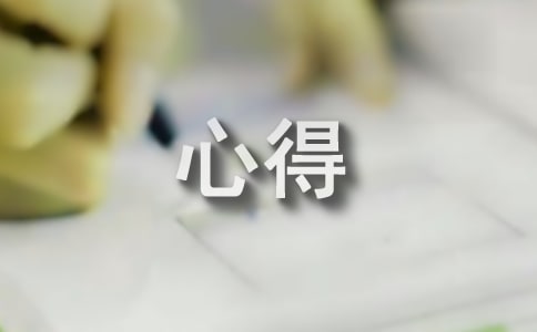 暑期实践个人心得
