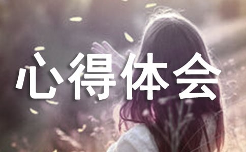 基层个人创先争优心得体会